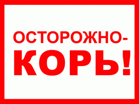 корь в Киеве - ДНК-Лаборатория