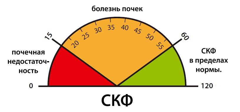 Швидкість клубочкової фільтрації