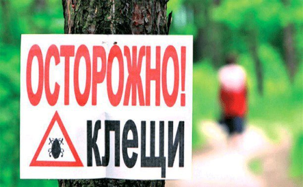 Борелиоз-в-Украине